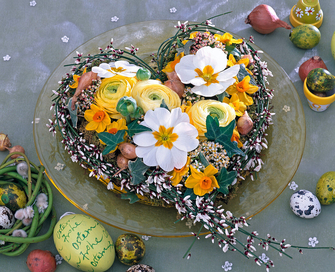 Herz aus Ginsterzweigen auf Glasteller mit Blüten von Primula (Primeln)