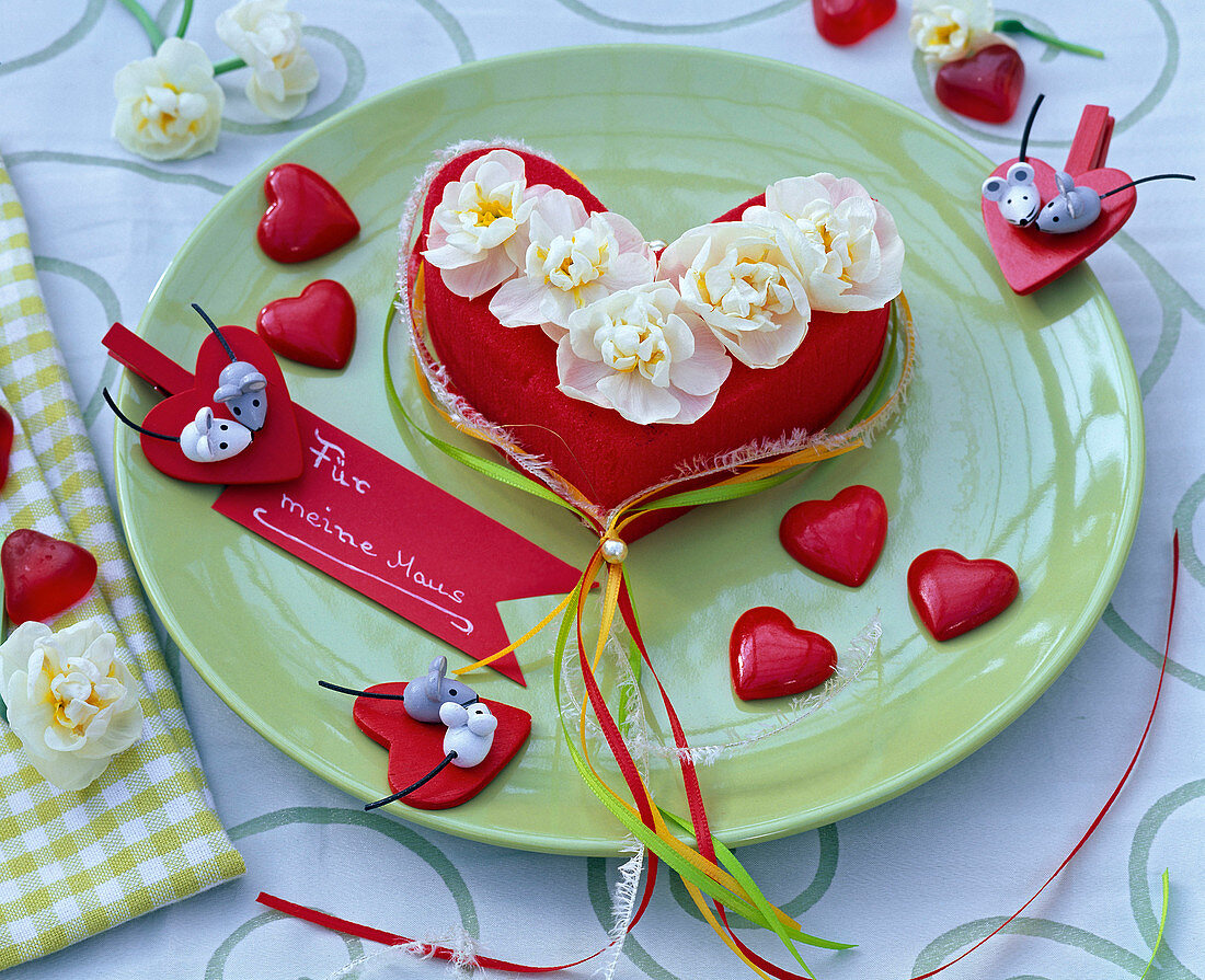 Flowers of Narcissus 'Bridal Crown' on red oasis heart