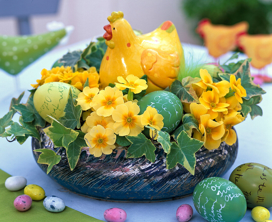 Osternest mit Primula (Primeln, gelb), Hedera (Efeu, panaschiert), Ostereier