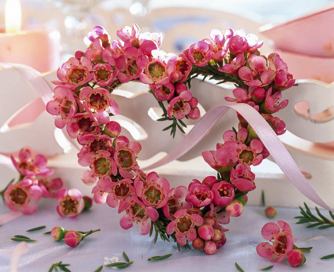 Heart made of waxflower