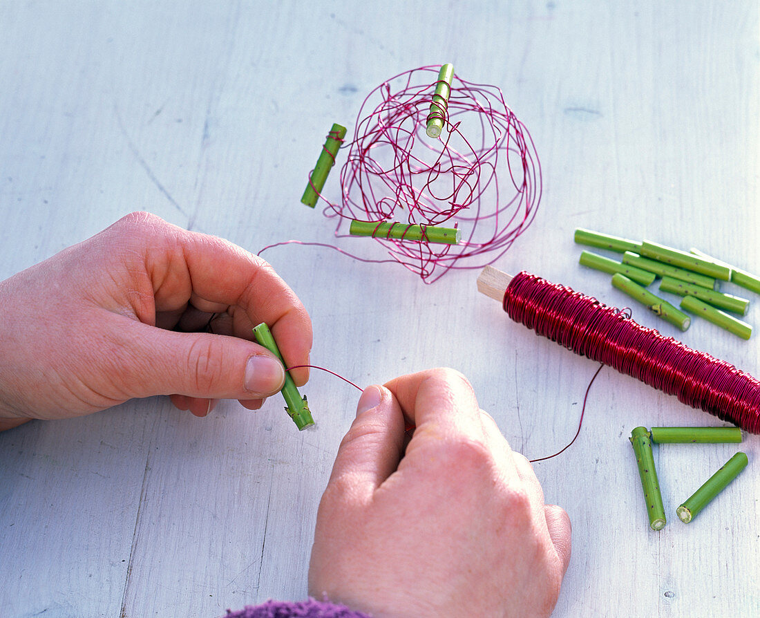 Red wire with dogwood pieces as plug-in aid for Cyclamen