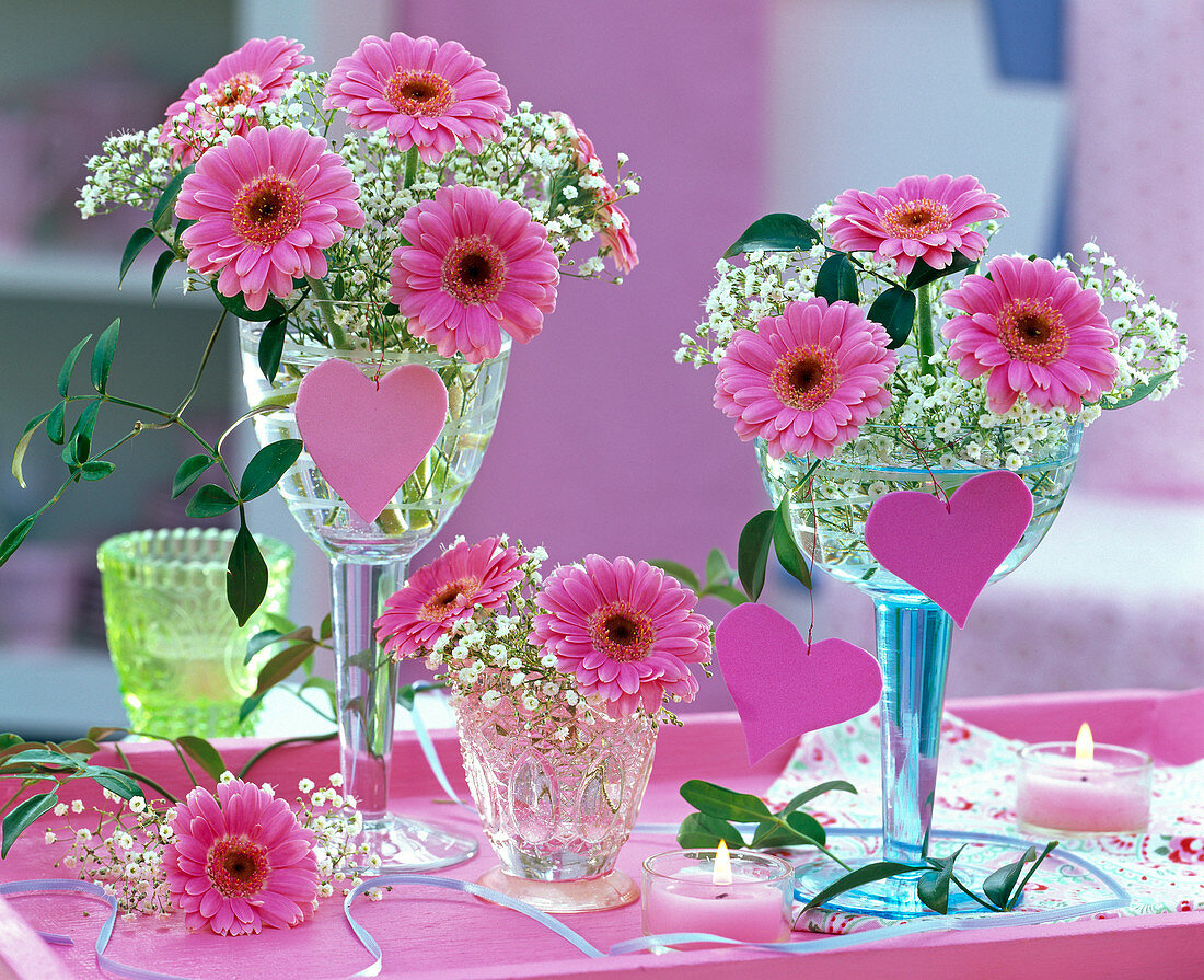 Gerbera and Gypsophila (Gypsophila) with pink hearts