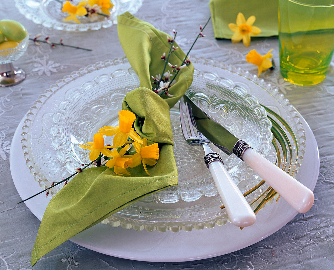 Narcissus 'Tete à Tete' (Narzissen), Cytisus (Ginster)