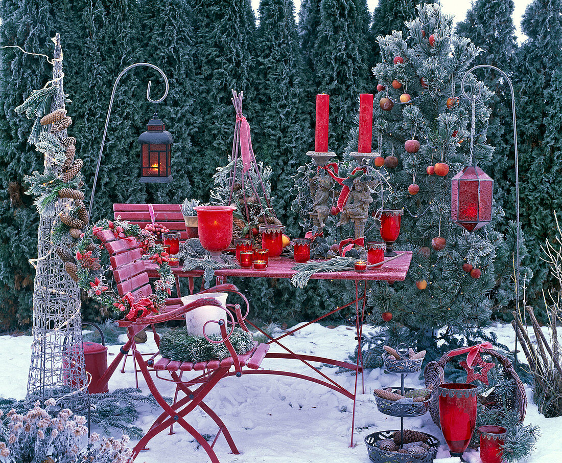 Pinus (pine), decorated with red Malus (apples), red candles