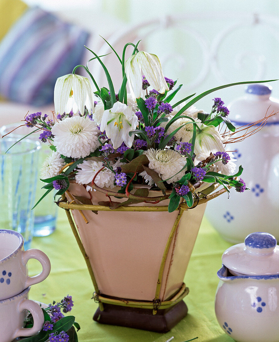 Cornus scaffold around square vase as plug-in aid