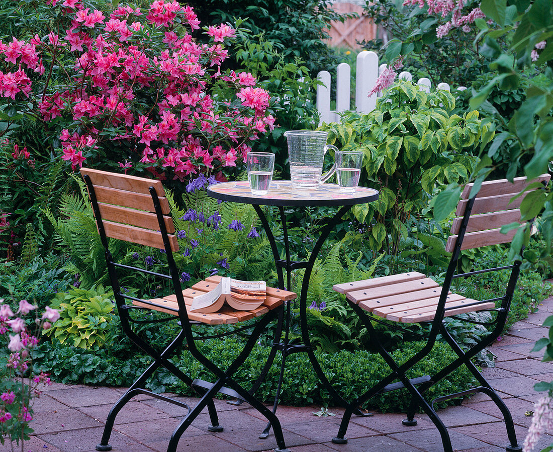 Seating area by the bed with azaleas and ferns