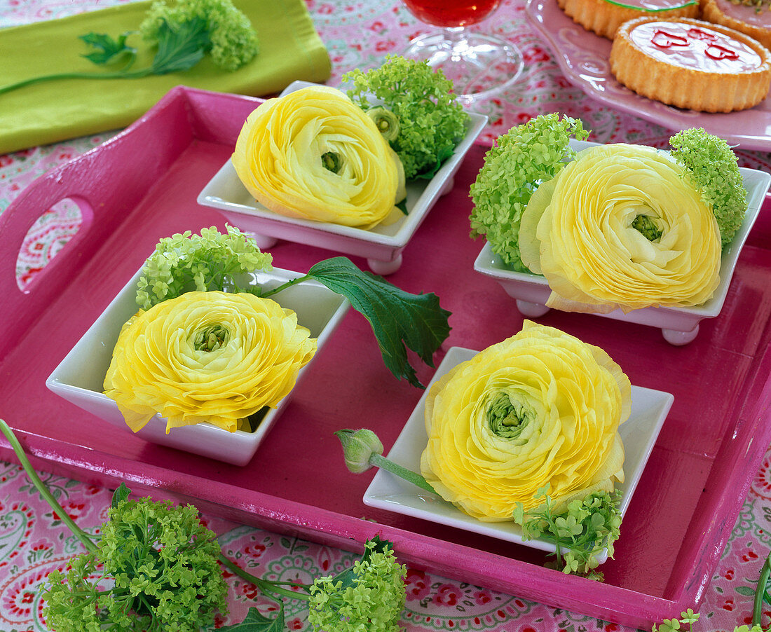 Ranunculus (ranunculus) and viburnum (snowball) flowers