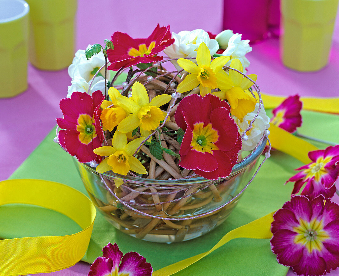 Arrangement with Narcissus 'Tete Á Tete', 'Bridal Crown' (Daffodil)