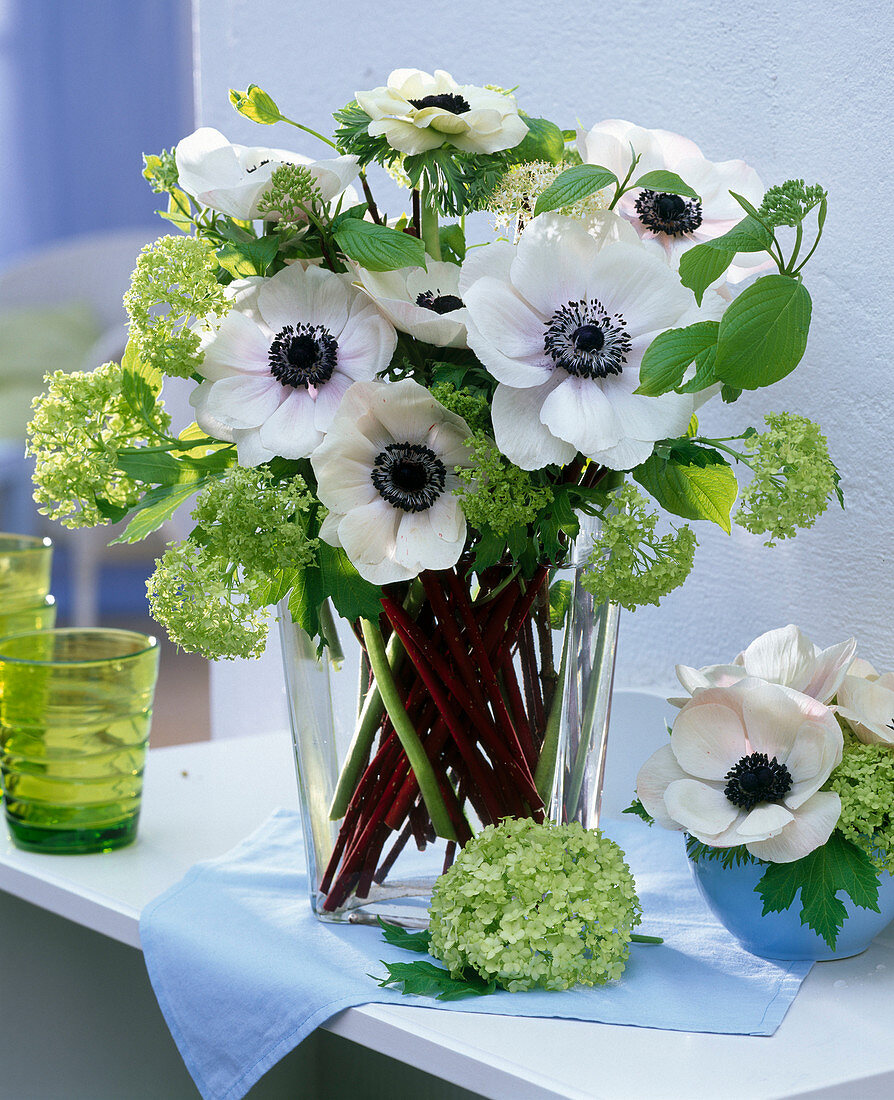 Strauß aus weißer Anemone coronaria (Kronenanemone), Viburnum (Schneeball)