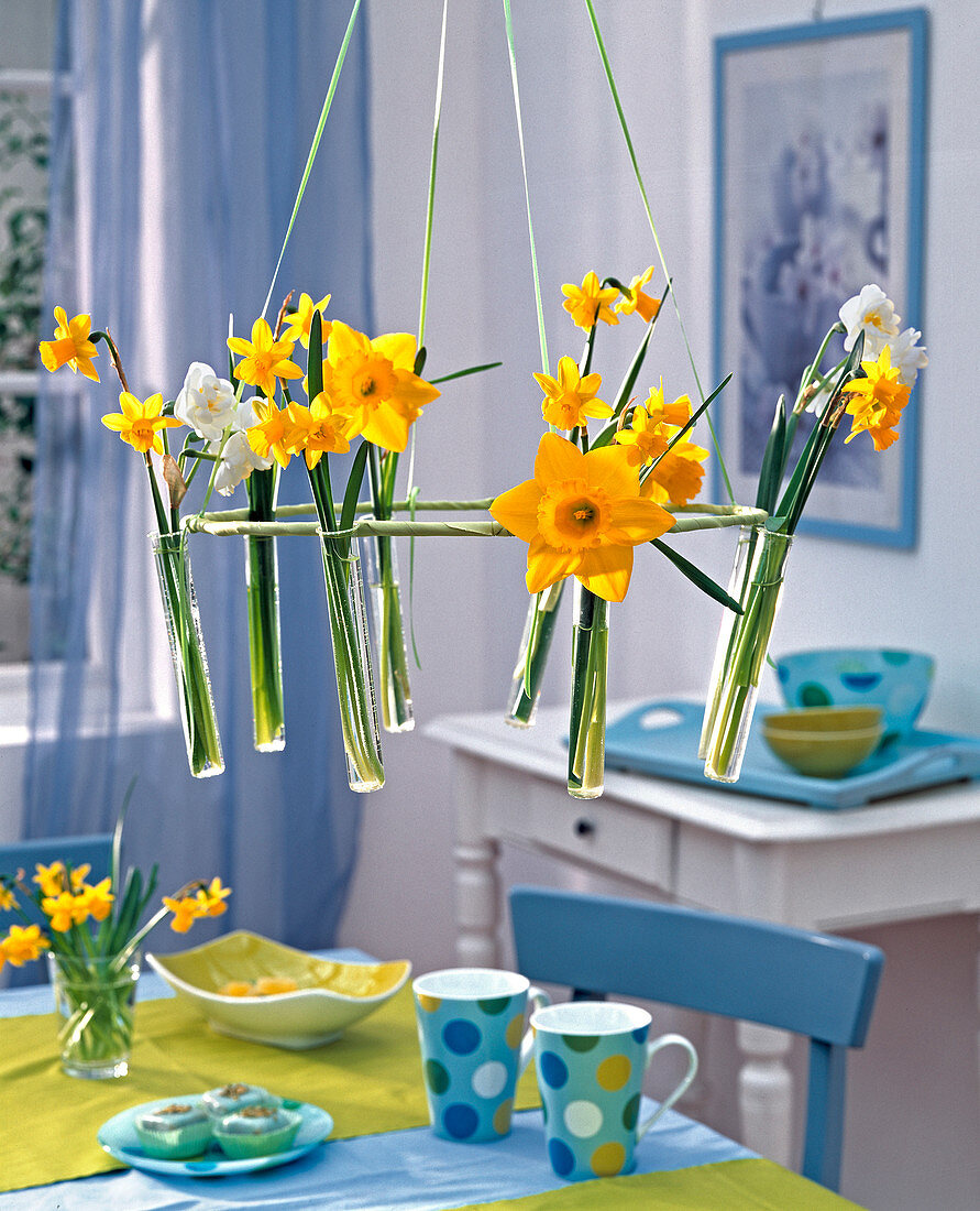 Hanging table decoration with various narcissus in test tubes