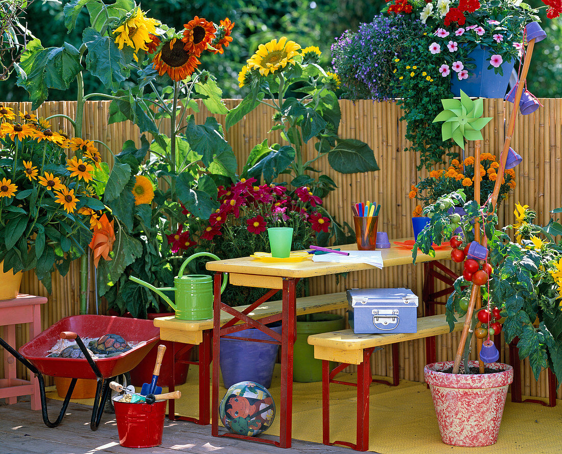 Children's balcony, rudbeckia (sun hat)