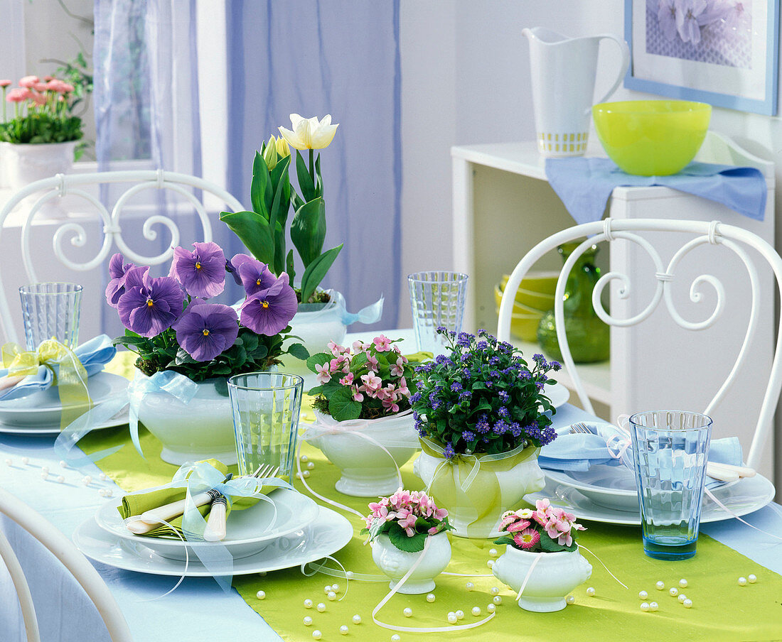 Table decoration with Viola wittrockiana and odorata