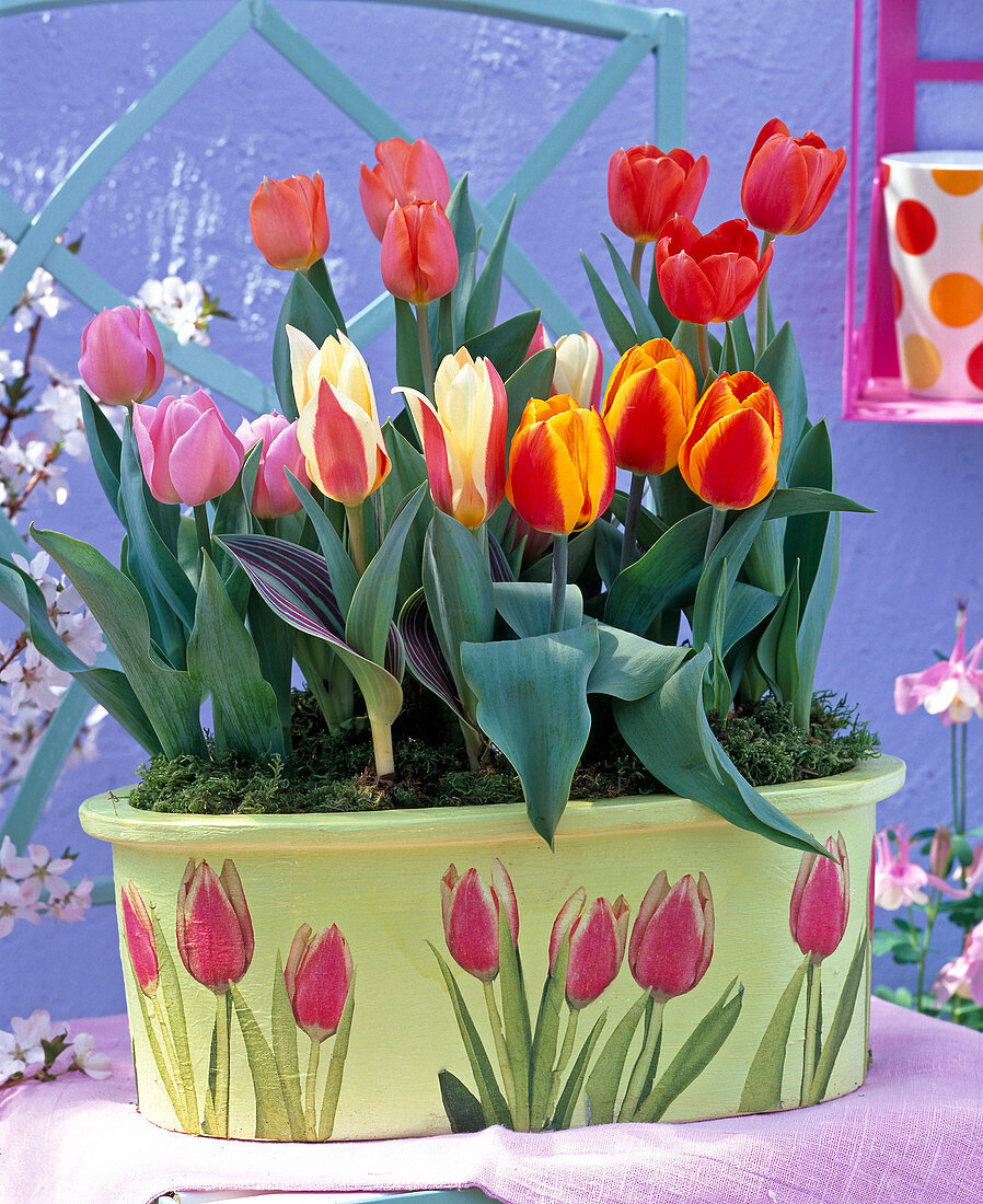 Tulips in bowl, pots with napkin technique, tulip motifs