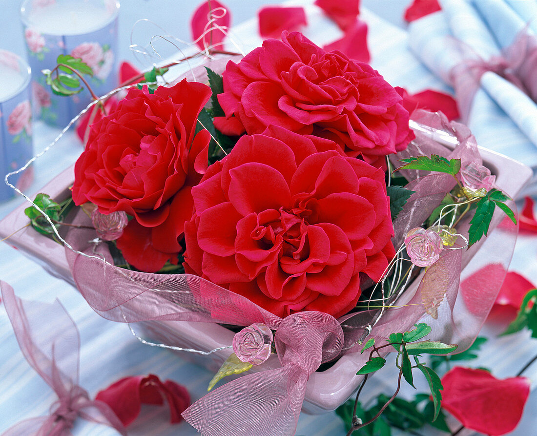 Red flowers of Rosa 'El Toro' (roses) with tendrils of Clematis (woodland vine)