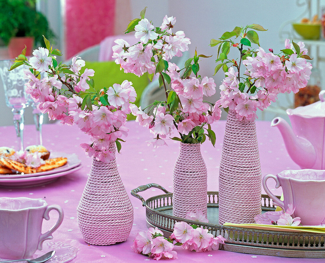 Prunus (ornamental cherry) in vases wrapped in pink lace