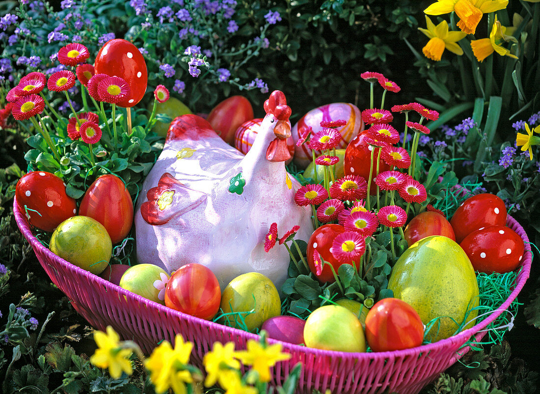 Bellis (Tausendschön), Keramikhuhn und bunte Eier