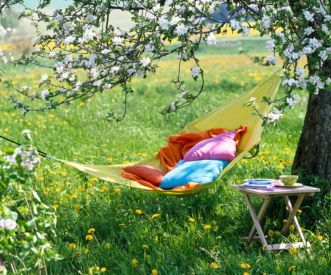 Gelbe Stoffhängematte mit Kissen und Decke unterm blühenden Apfelbaum