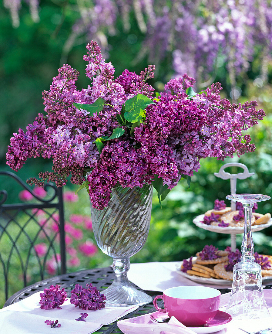 Bouquet from Syringa vulgaris in tall glass vase, wineglass