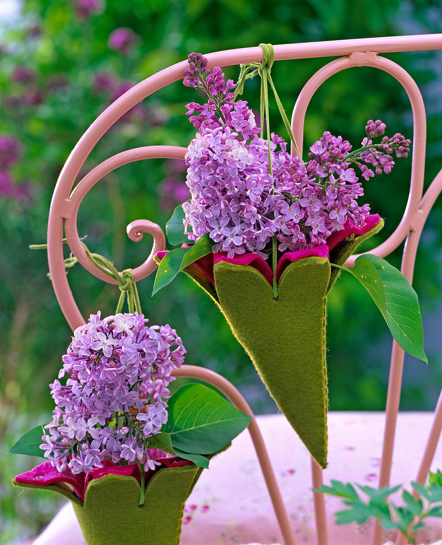 Purple Syringa (lilac) in moss green felt bags