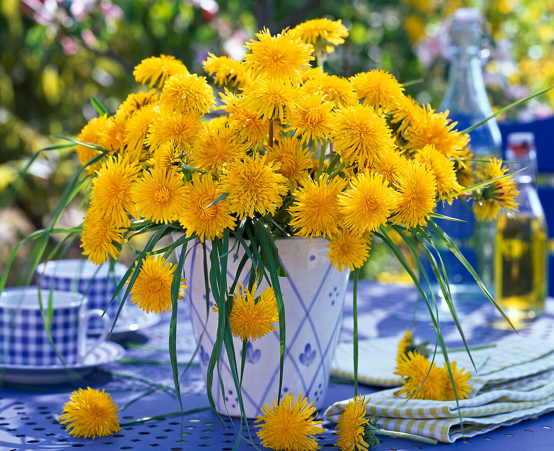 Taraxacum (dandelion) and grasses bouquet