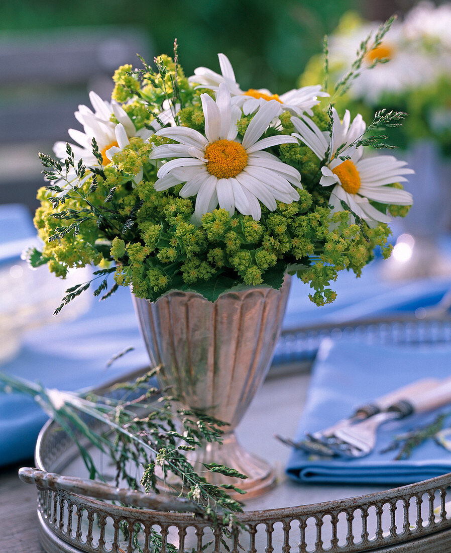 Bouquet of leucanthemum and alchemilla