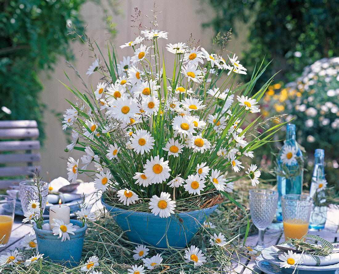 Gesteck aus Leucanthemum (Frühlingsmargeriten)