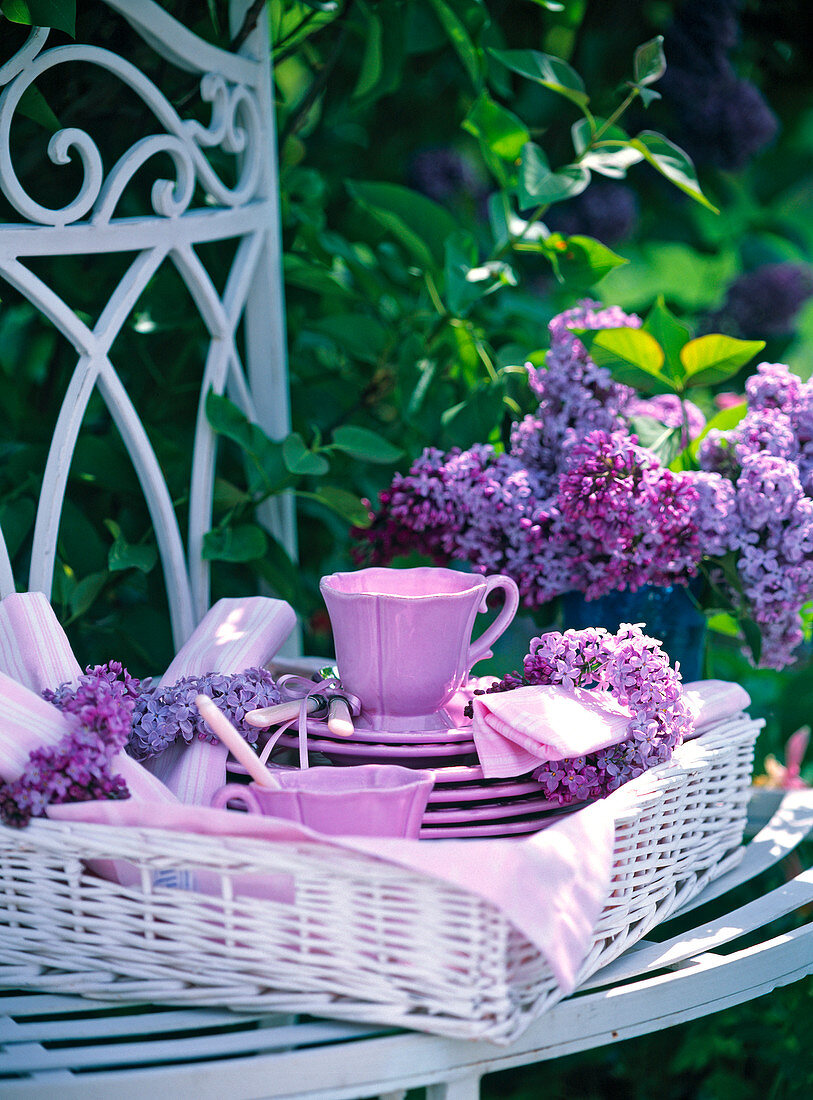 Syringa vulgaris (Lilac), pink coffee service in white wicker tray