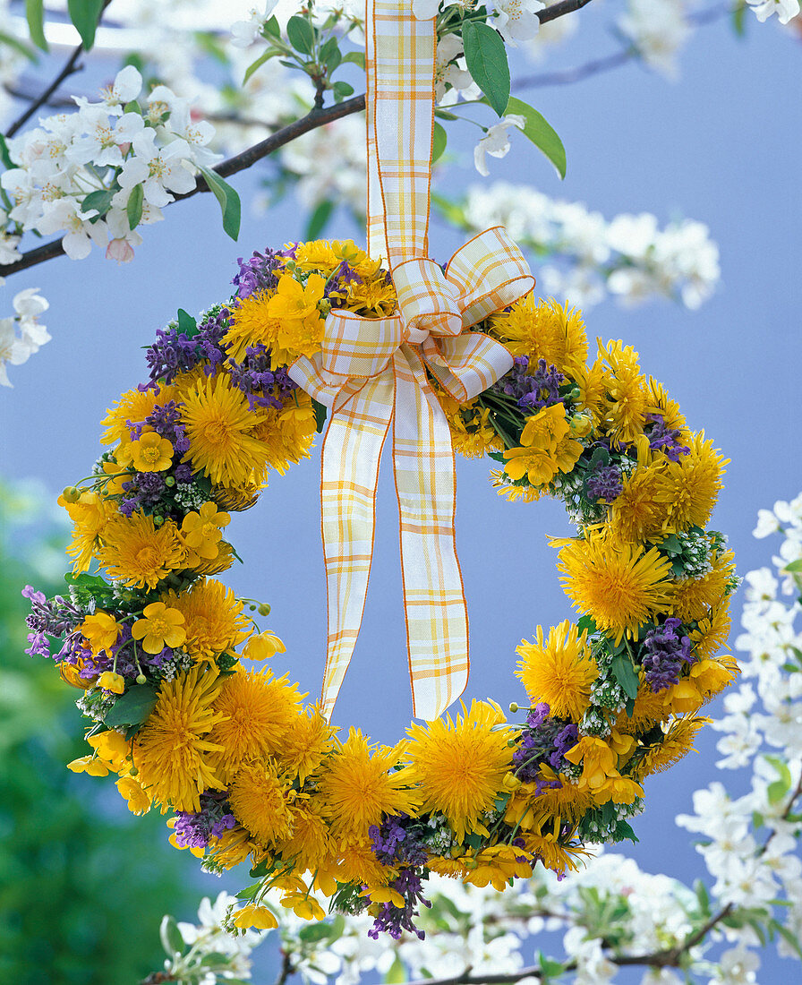 Kranz aus Taraxacum (Löwenzahn), Ranunculus (Hahnenfuß), Nepeta