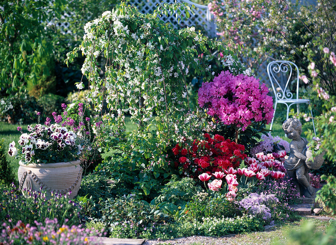 Spring bed with Malus 'Red Jade' (hanging apple)