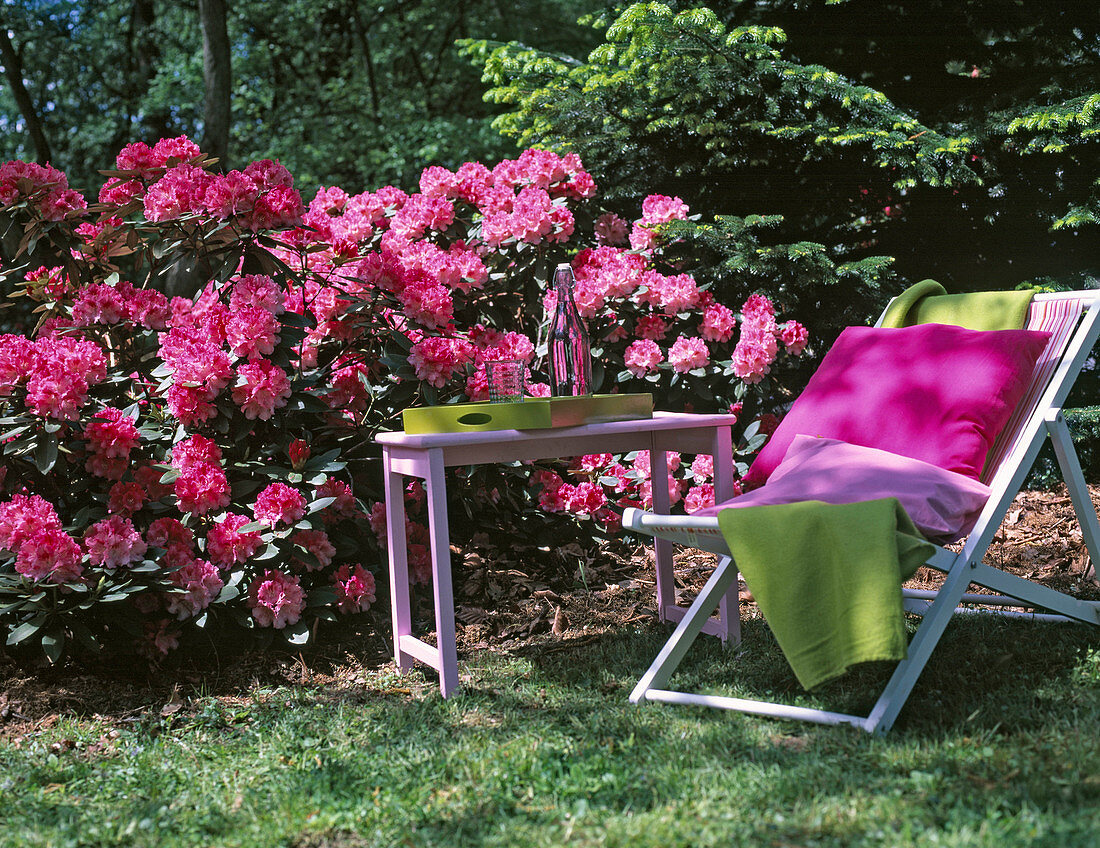Rhododendron, deck chair with blanket and cushion, side table