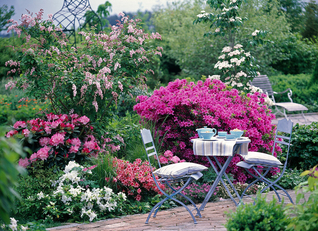 Blue set on bed with rhododendron