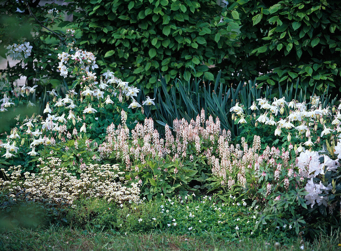 White spring bed