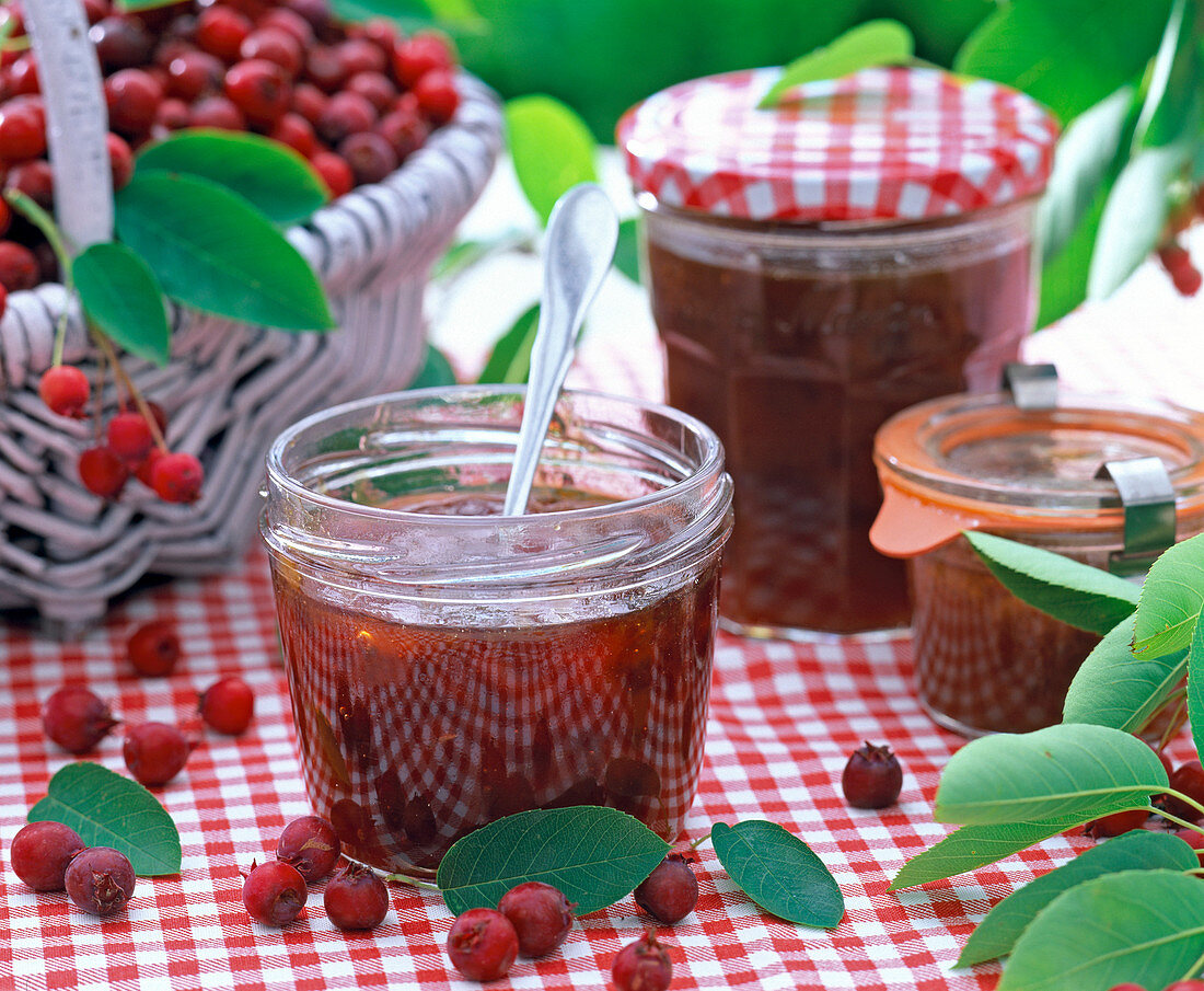 Amelanchier jam in jar with spoon