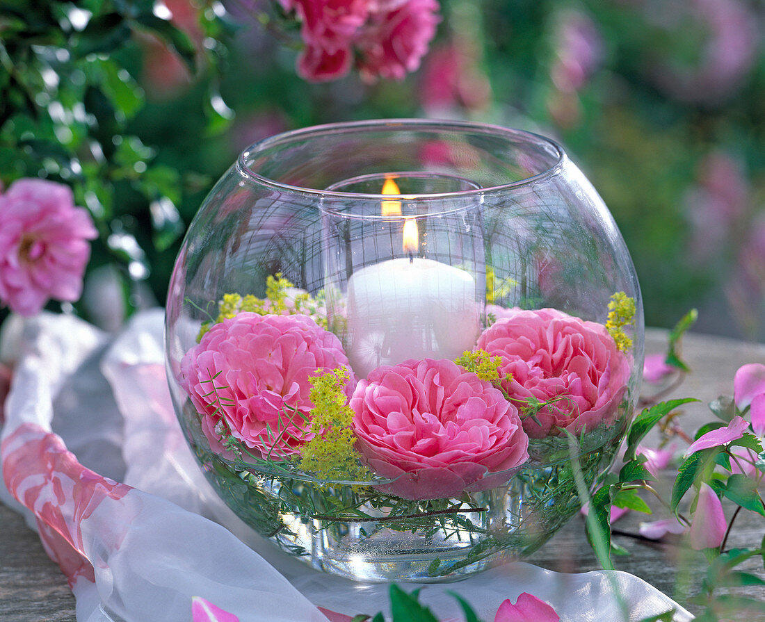 Lantern with Rose, alchemilla, vicia