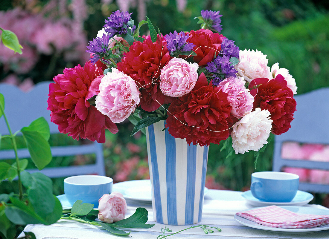 Red and pink Paeonia (peony) bouquet, Campanula