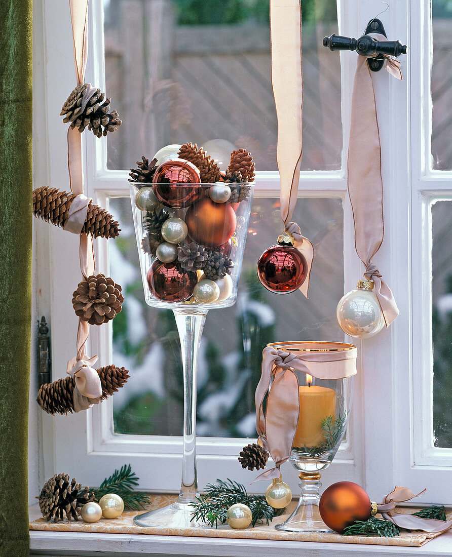 Picea cones, pinus cones, abies in glass