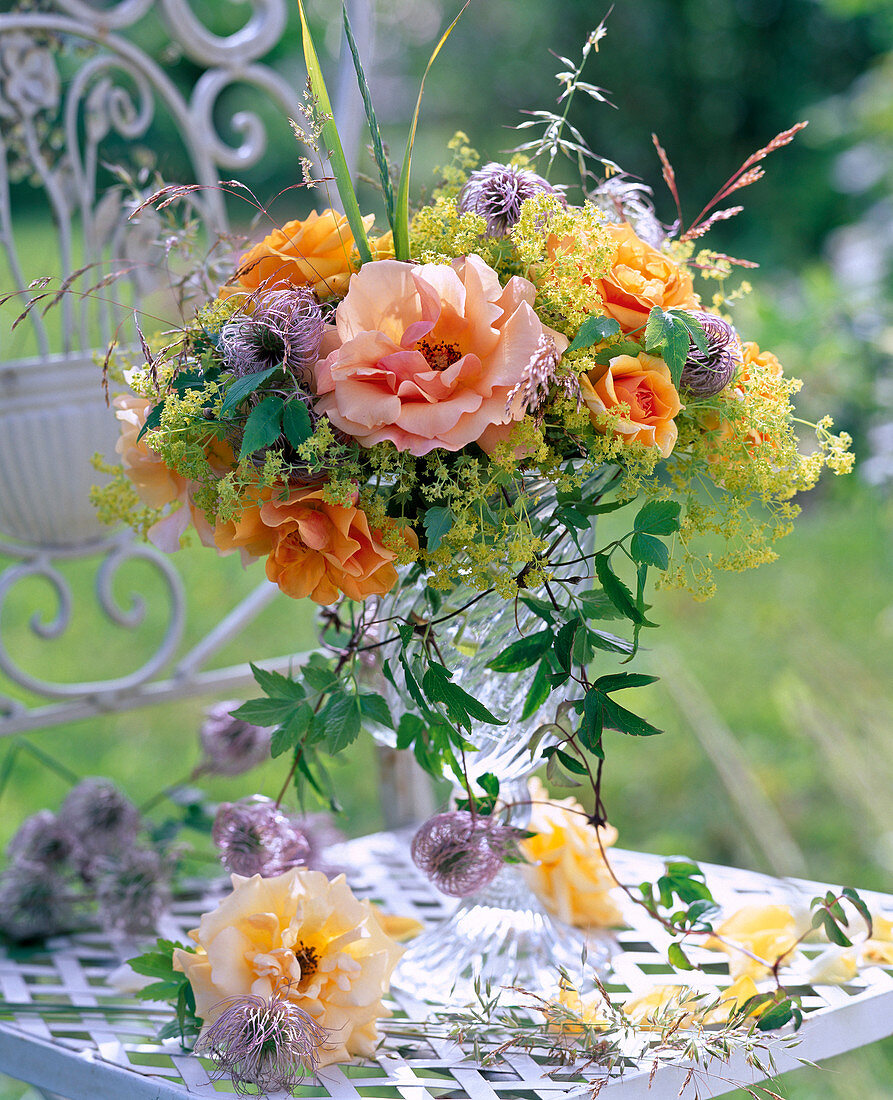 Rosa (Rosen), Alchemilla (Frauenmantel), Clematis (Waldrebe) und Gräser