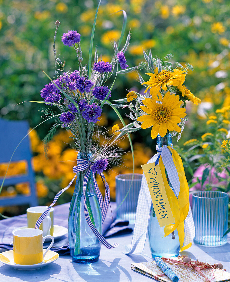 Centaurea (cornflower), Helianthus (sunflower), Anthriscus