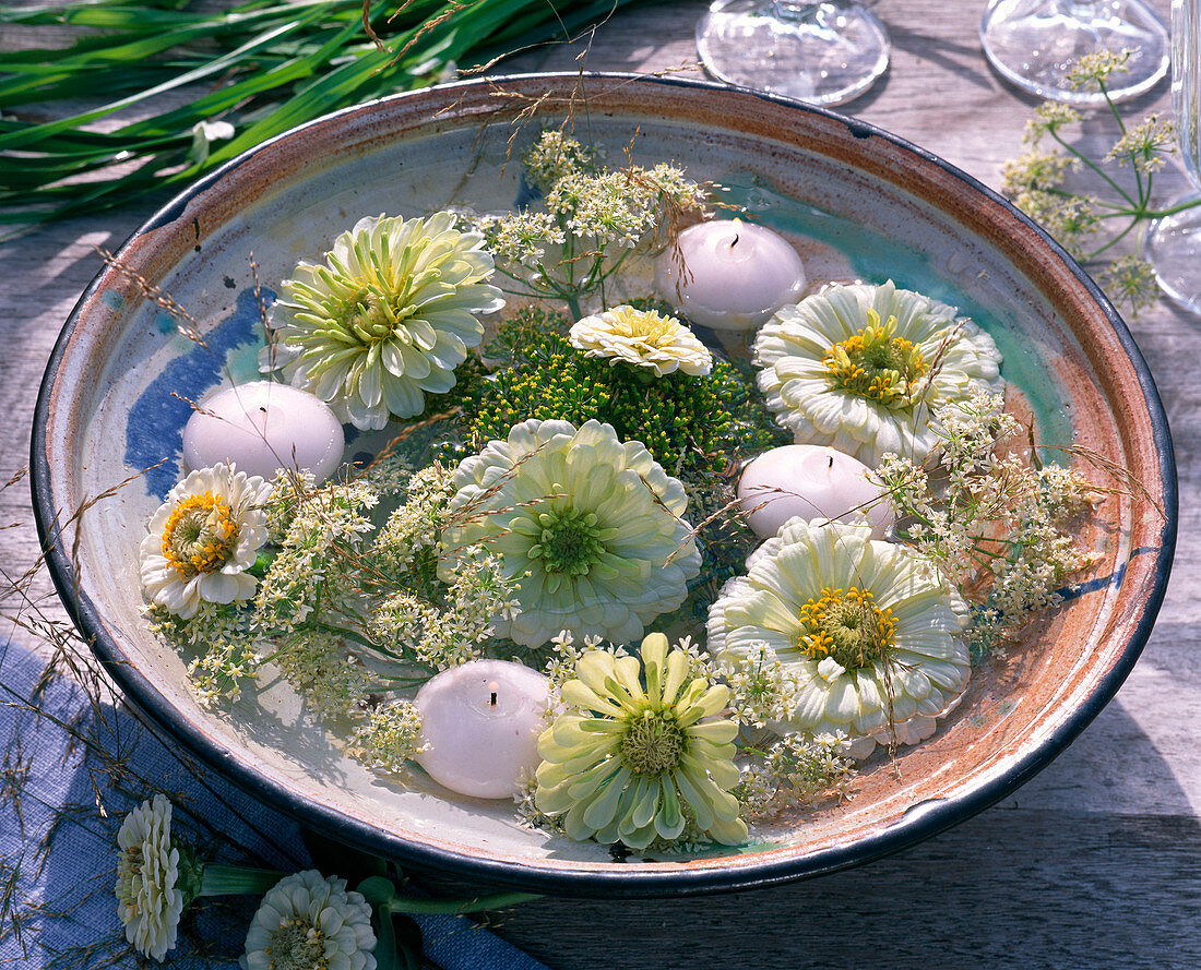 Flowers of zinnia, anthriscus, anethum