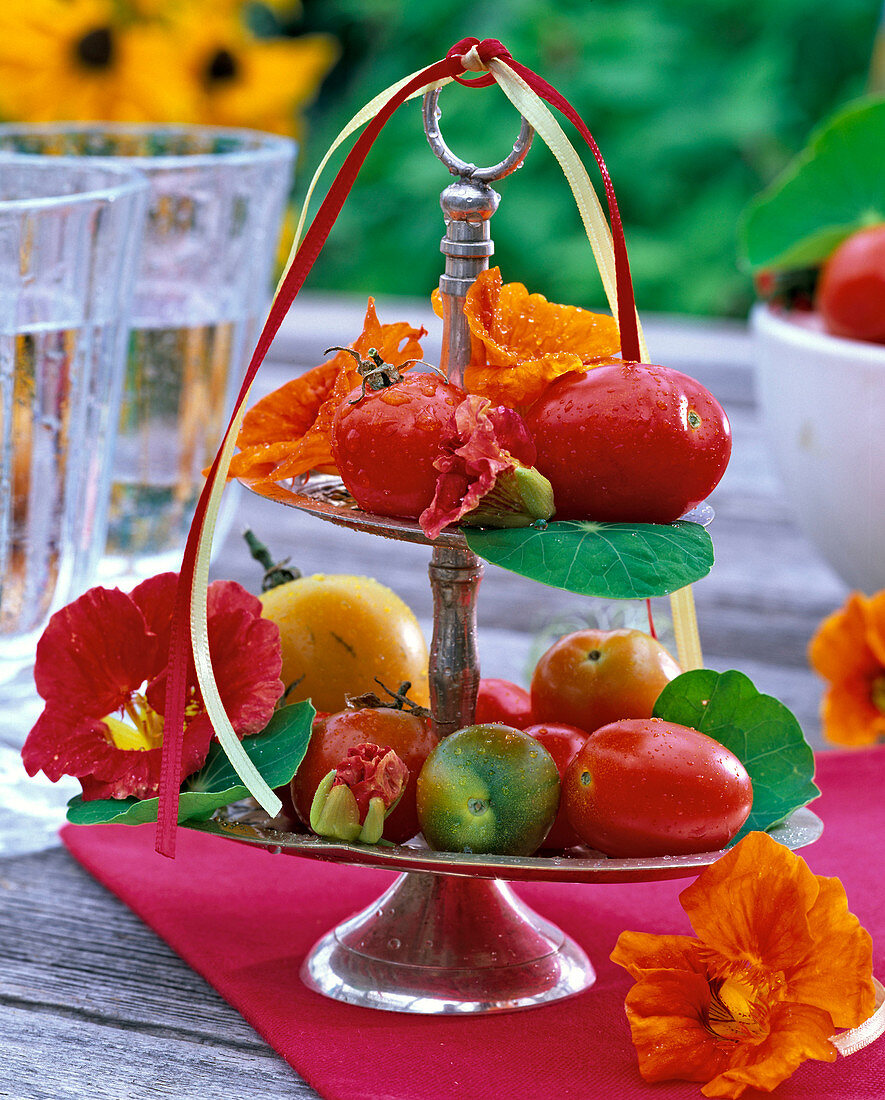 Etagere with Lycopersicon, Cucurbita, Tropaeolum