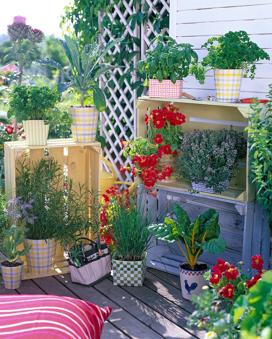 Herb garden with painted fruit crates as shelves