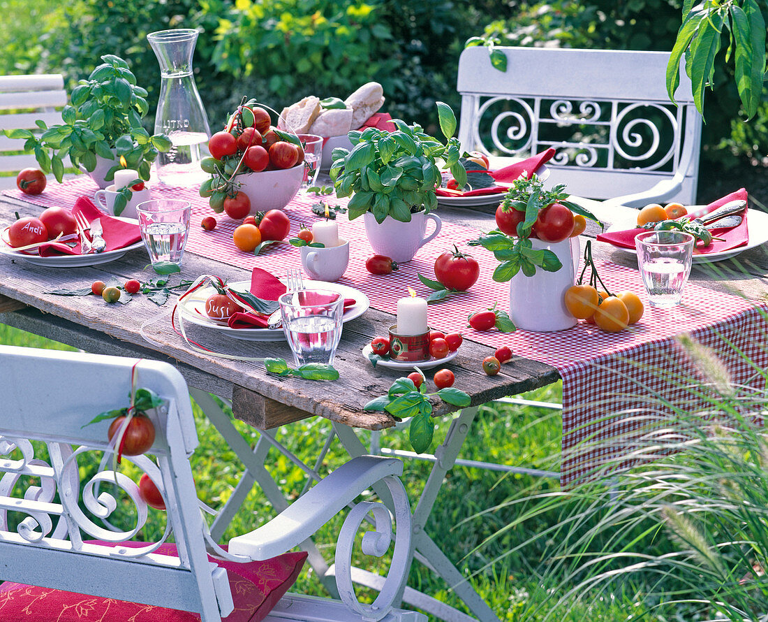 Table decoration with Lycopersicon, Ocimum in bowls