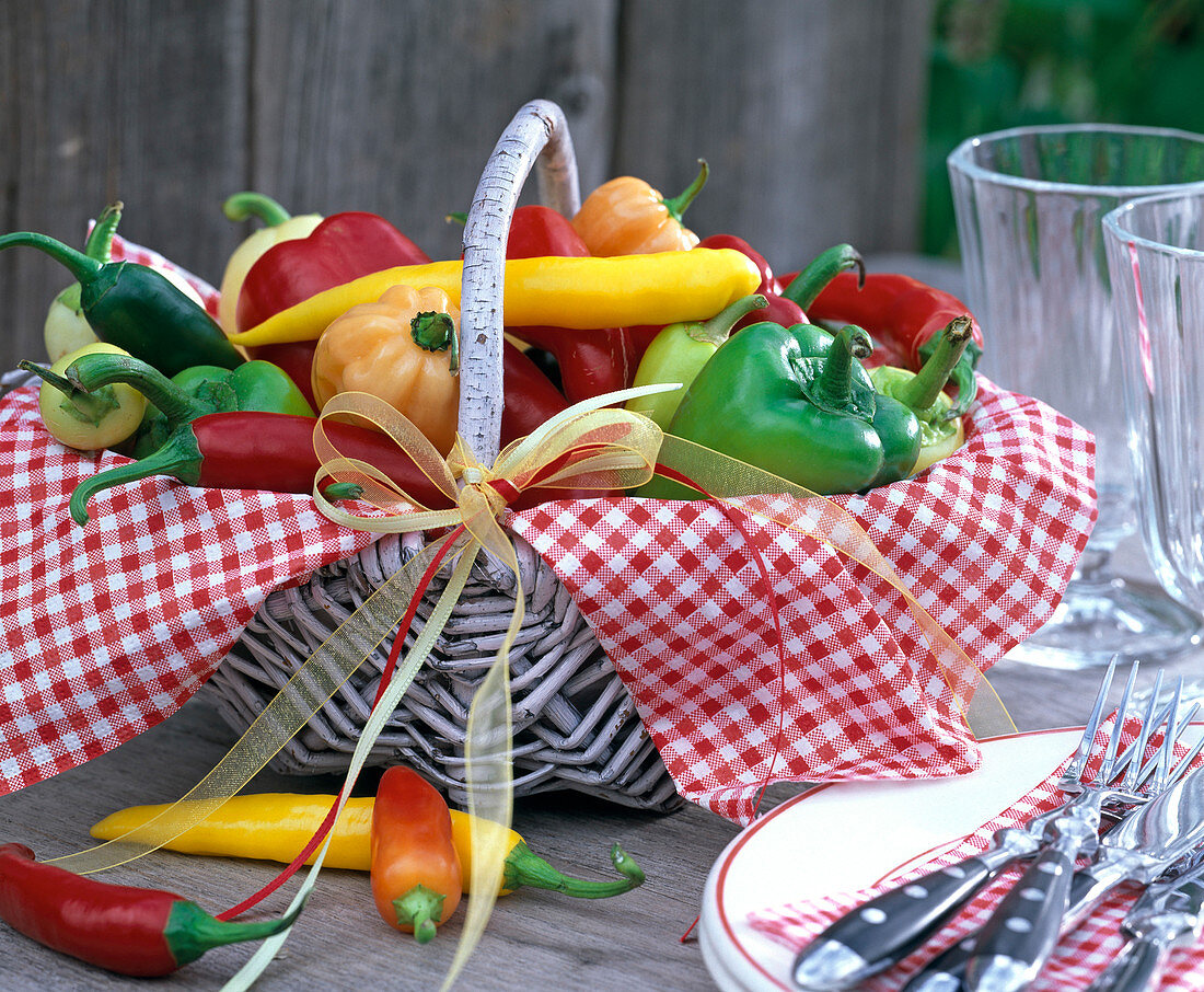 Capsicum (paprika, chilli) in red, yellow, green and orange in wicker basket