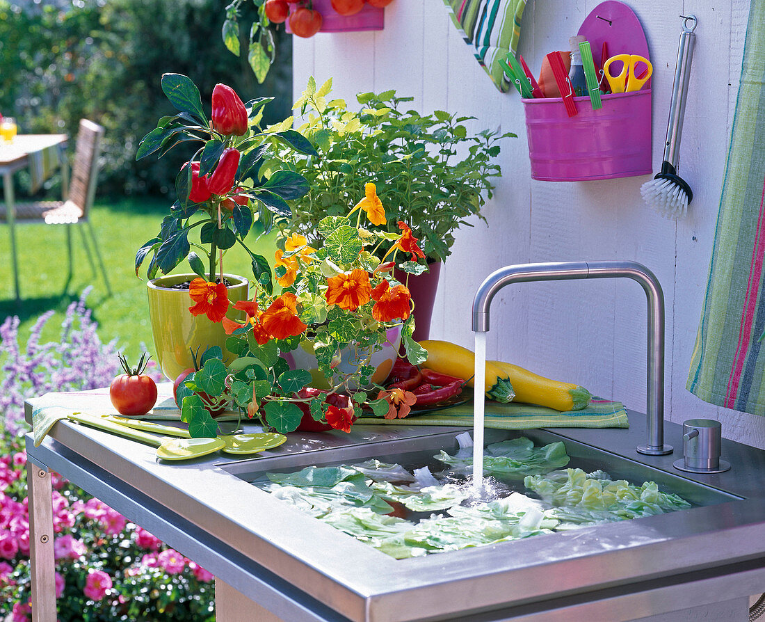 Outdoor kitchen