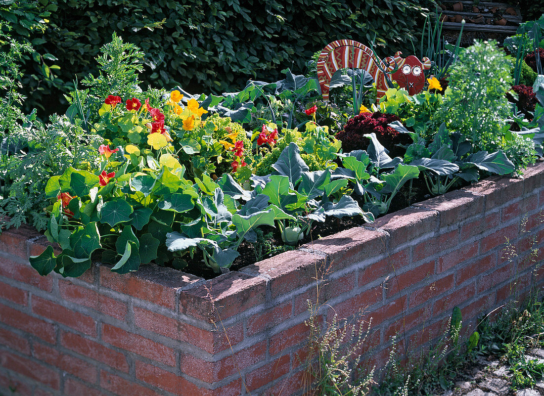 Raised flower bed with mixed culture