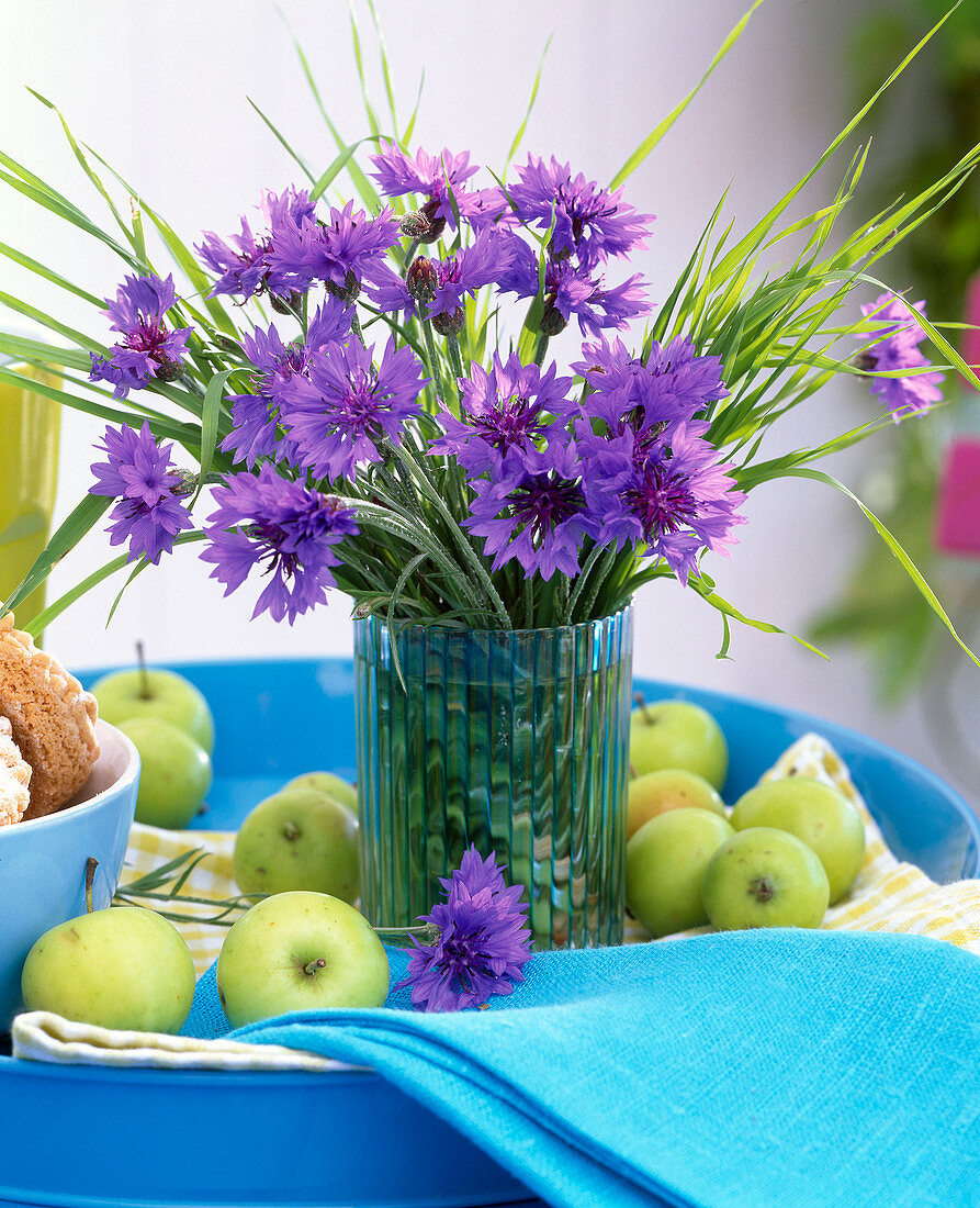 Bouquet of Centaurea and grasses in blue striped vase