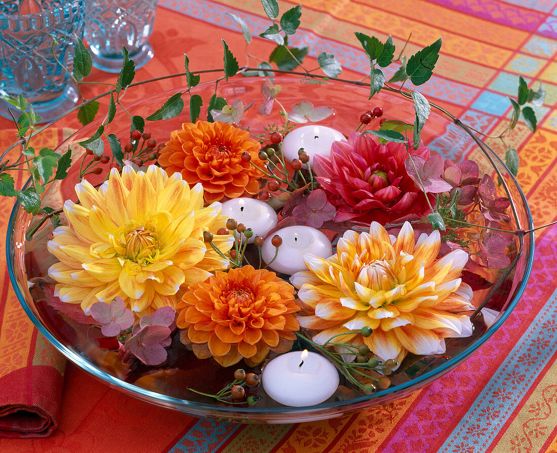 Dahlia blossoms in the water