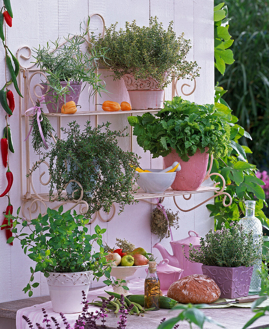 Shelf with herbs