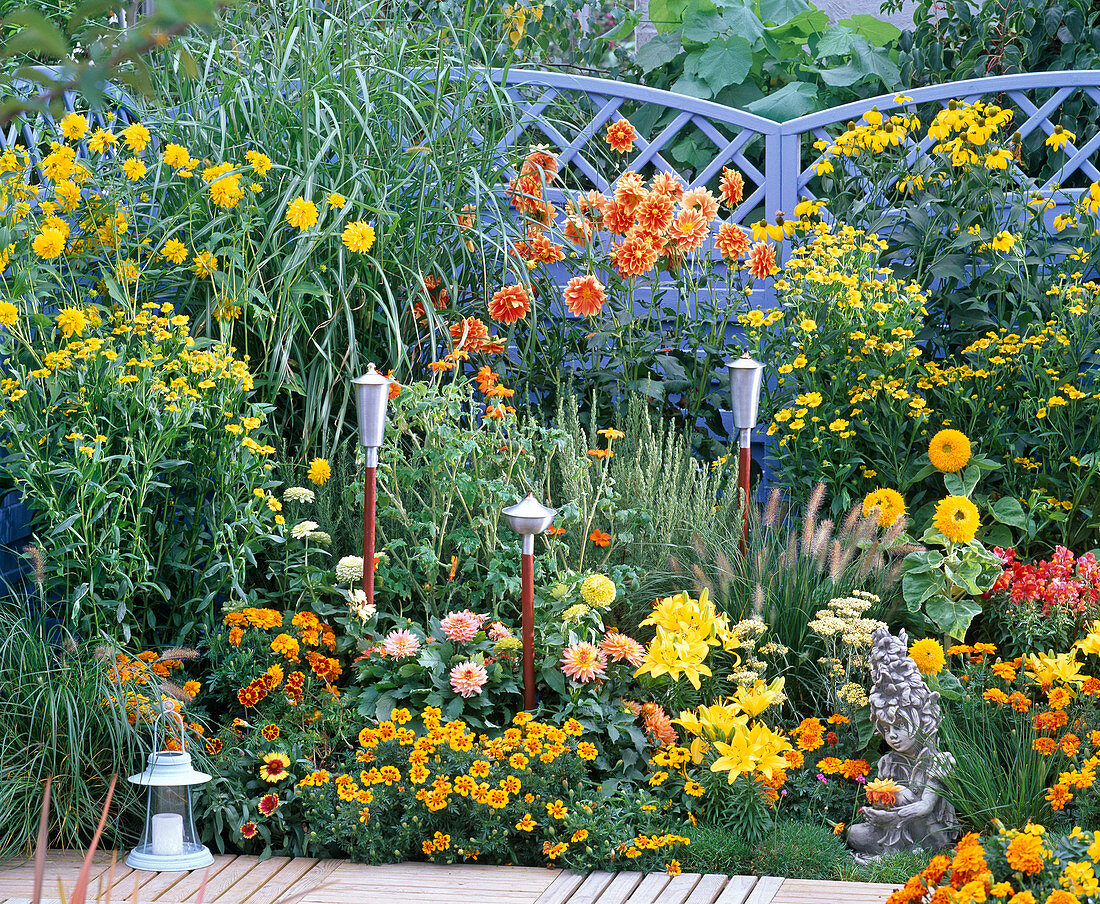 Gelb-oranges Terrassenbeet vor blauer Flechtwand