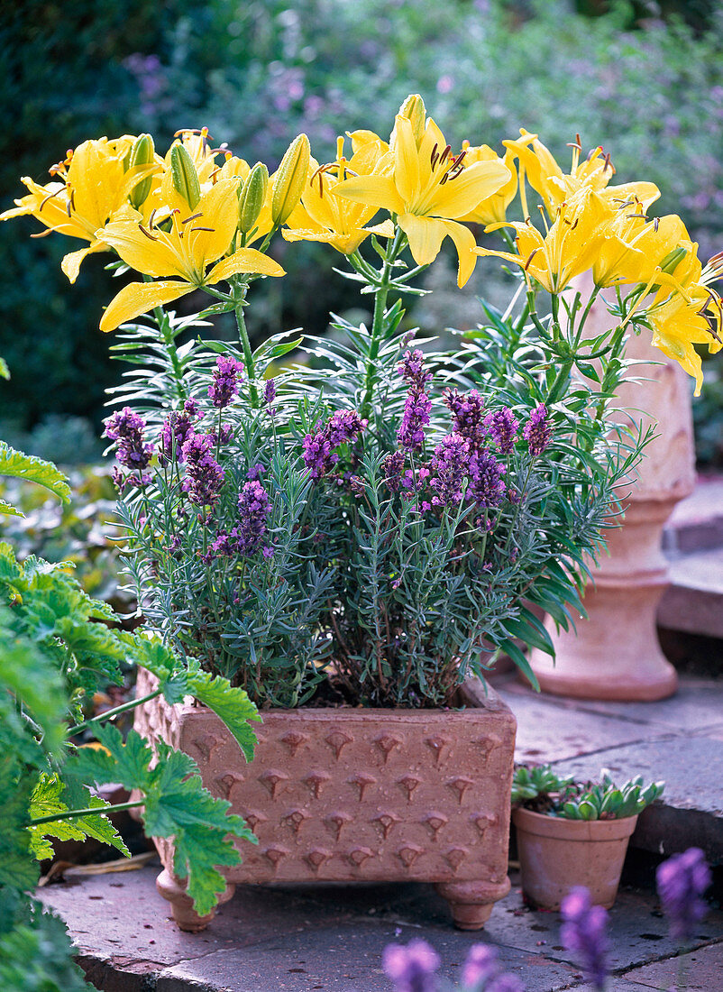 Handmade square bowl with yellow lilies